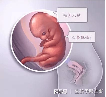 关于安悦佳妇产医院